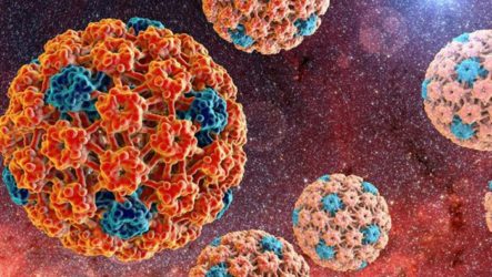 The most common mechanisms of HPV infection: How is the human papillomavirus transmitted?
