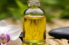 The best folk remedy for papilloma is castor oil
