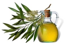 Is it worth using tea tree oil for papilloma