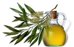 Is it worth using tea tree oil for papilloma