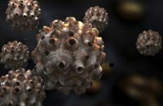 What it is and how dangerous HPV type 51 is in women: the main routes of infection
