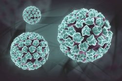 The main features of HPV type 33 in women: what it is and how it can be dangerous