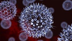 The main causes and symptoms of human papillomavirus