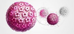 What is human papillomavirus (HPV)