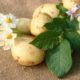 How to remove, get rid of warts with the help of raw potatoes or their juice: folk remedies