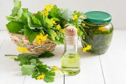 Celandine for effective treatment of viral warts: how to remove them correctly, the consequences